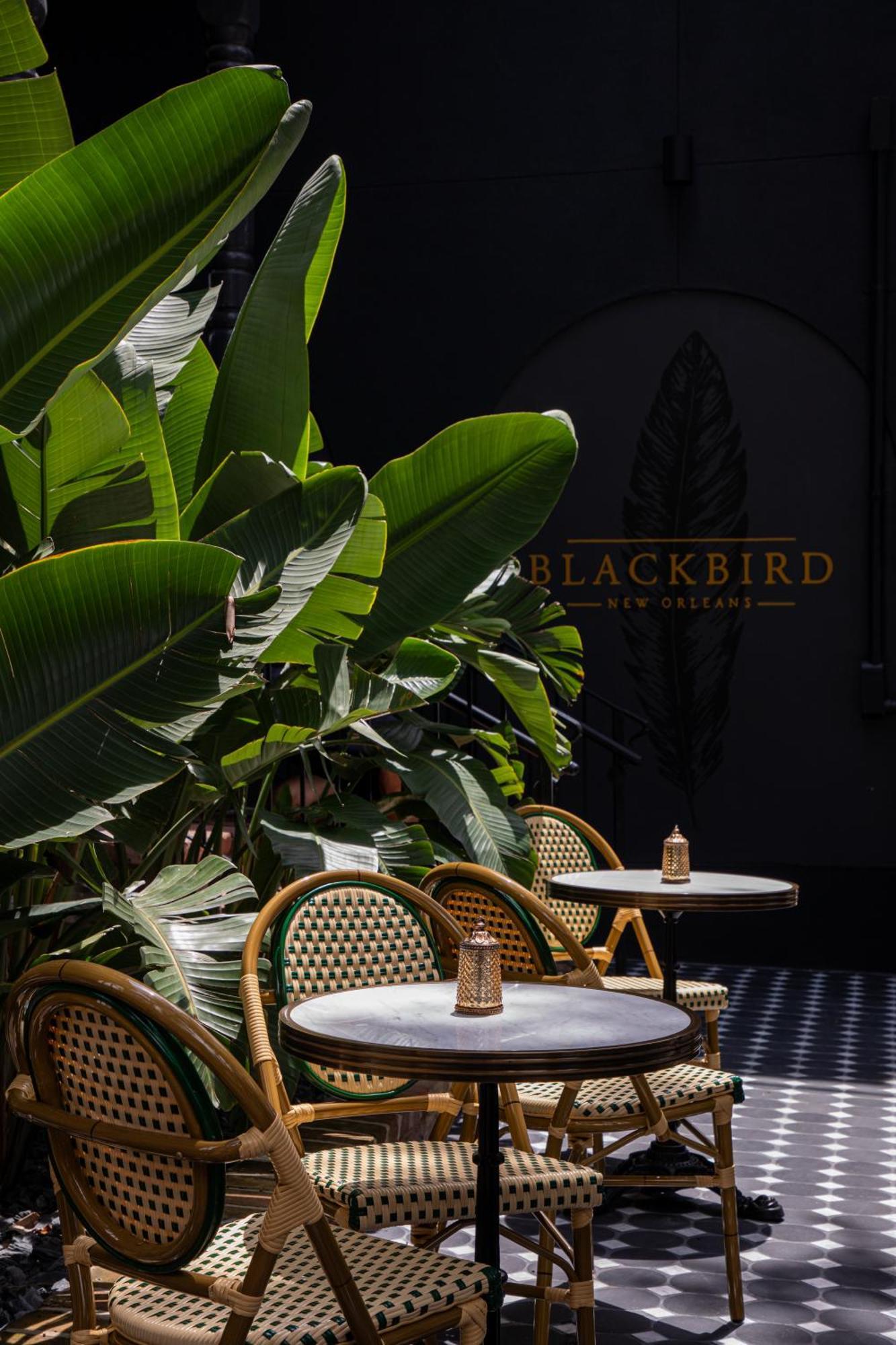 Blackbird Hotel Nova Orleães Exterior foto