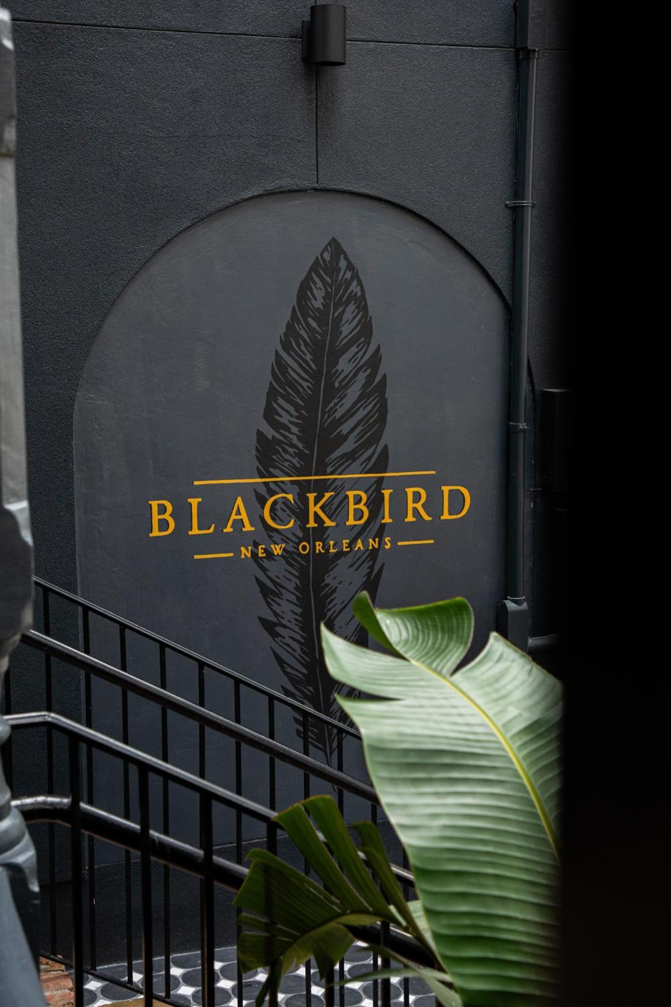 Blackbird Hotel Nova Orleães Exterior foto