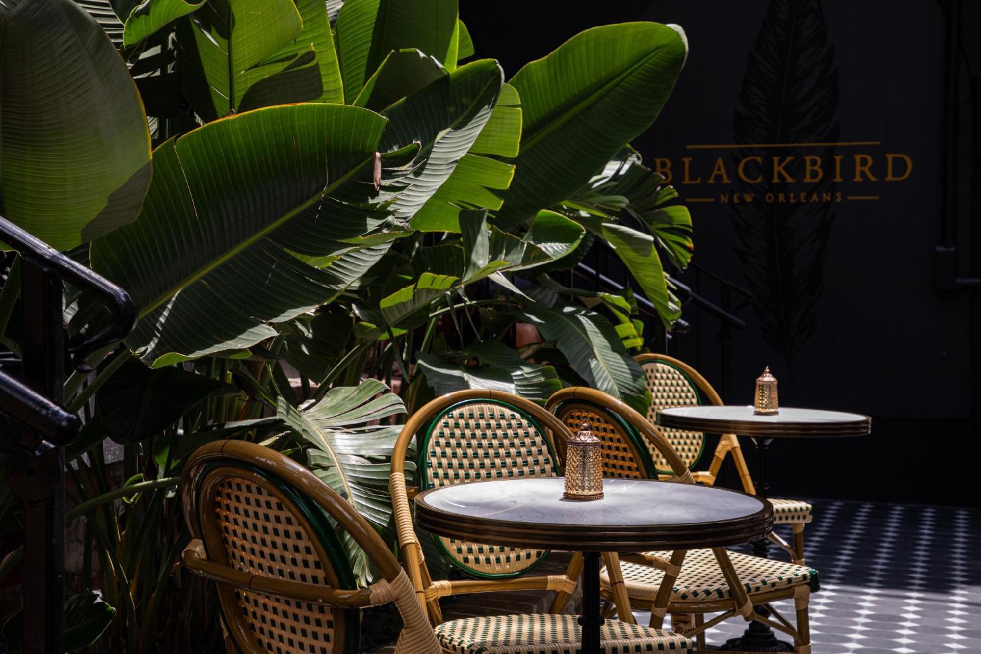 Blackbird Hotel Nova Orleães Exterior foto